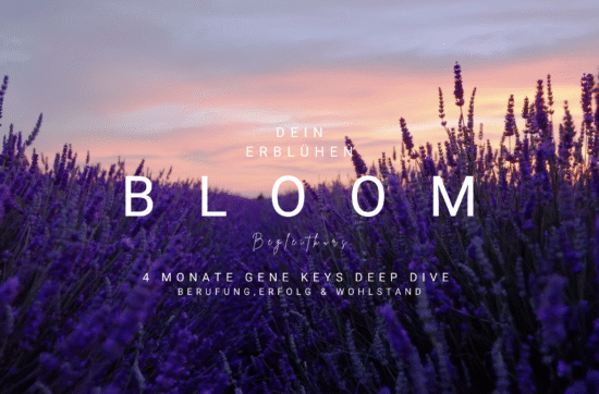 BLOOM: Dein Erblühen Begleitkurs